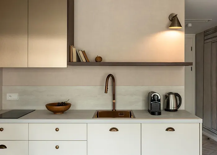 公寓 Nobilis By Mb 克拉科夫